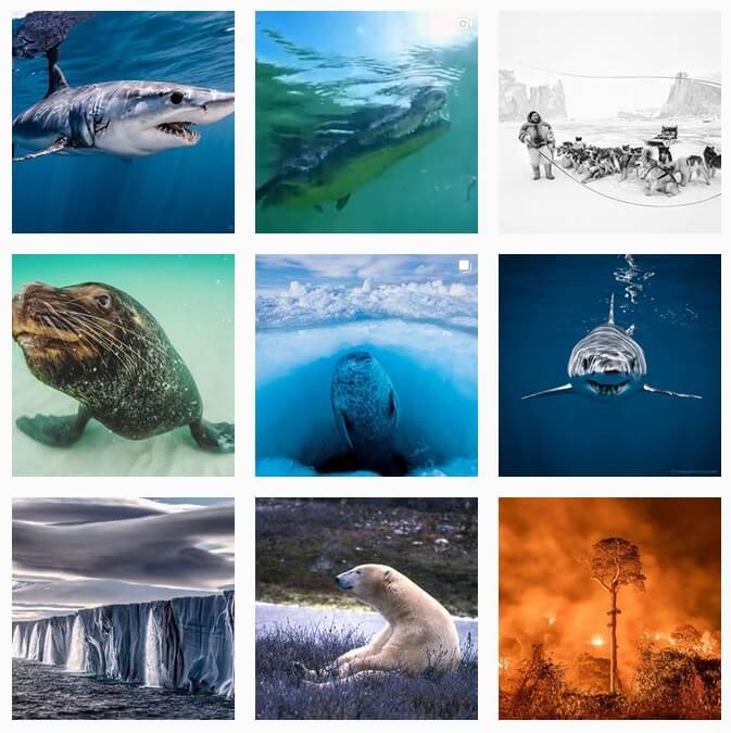 Фотограф дикой природы