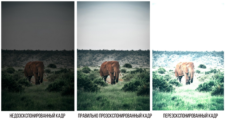 Правильная экспозиция