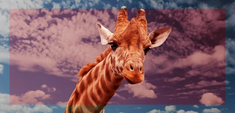 Матричный или оценочный экспозамер