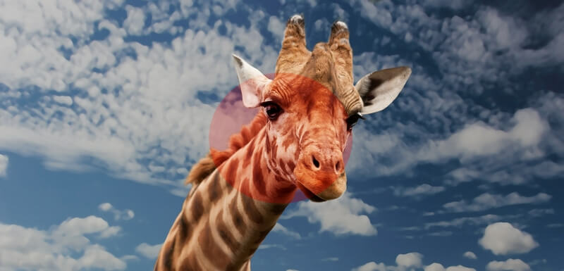 Центровзвешенный экспозамер