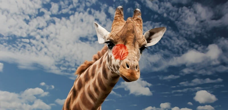 Точечный экспозамер