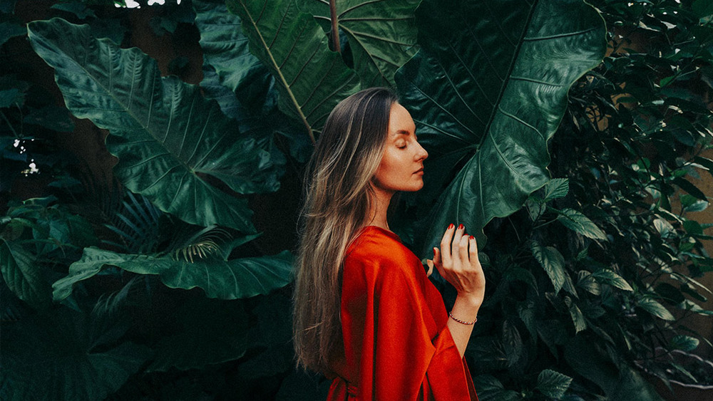 Vintrochrome 5.0 Film Emulation