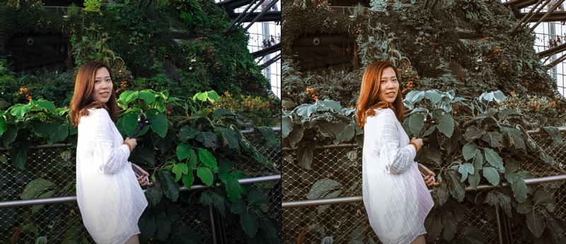 Lightroom vintrogram preset