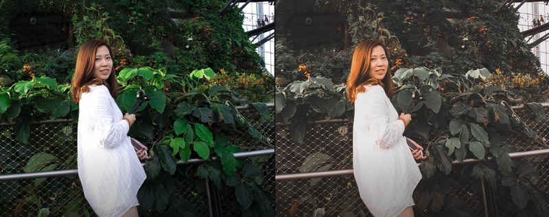 Lightroom vintrogram presets