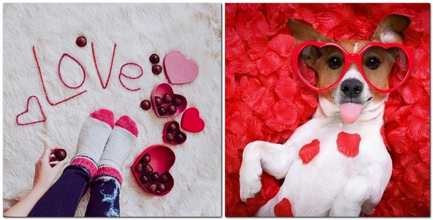 Лавстори 14 февраля