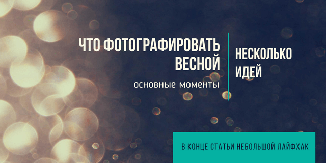 Идеи для весенней фотосессии