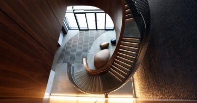 Основы композиции в фотографии