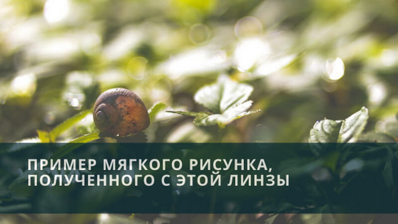 Зачем вам нужен объектив Гелиос