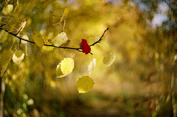 Гелиос пример картинки