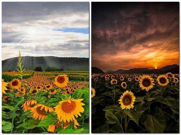 Красивое небо над полем