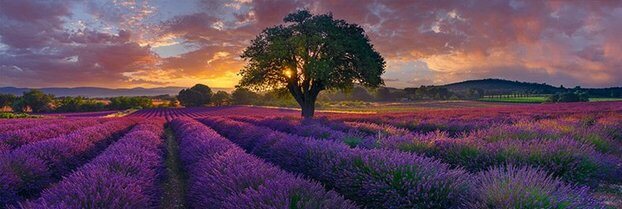 Фотограф Питер Лик