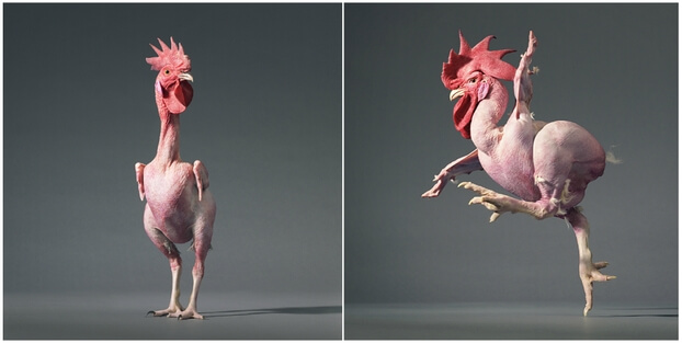 Фотограф Тим Флэч