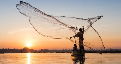 Фотограф Алексей Терентьев