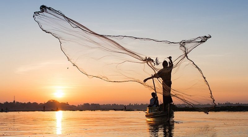 Фотограф Алексей Терентьев