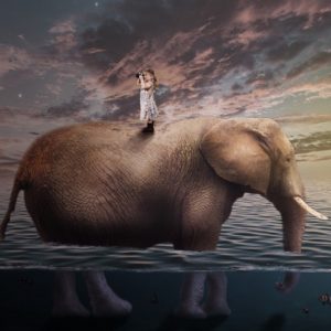 Курс Photoshop illustrator